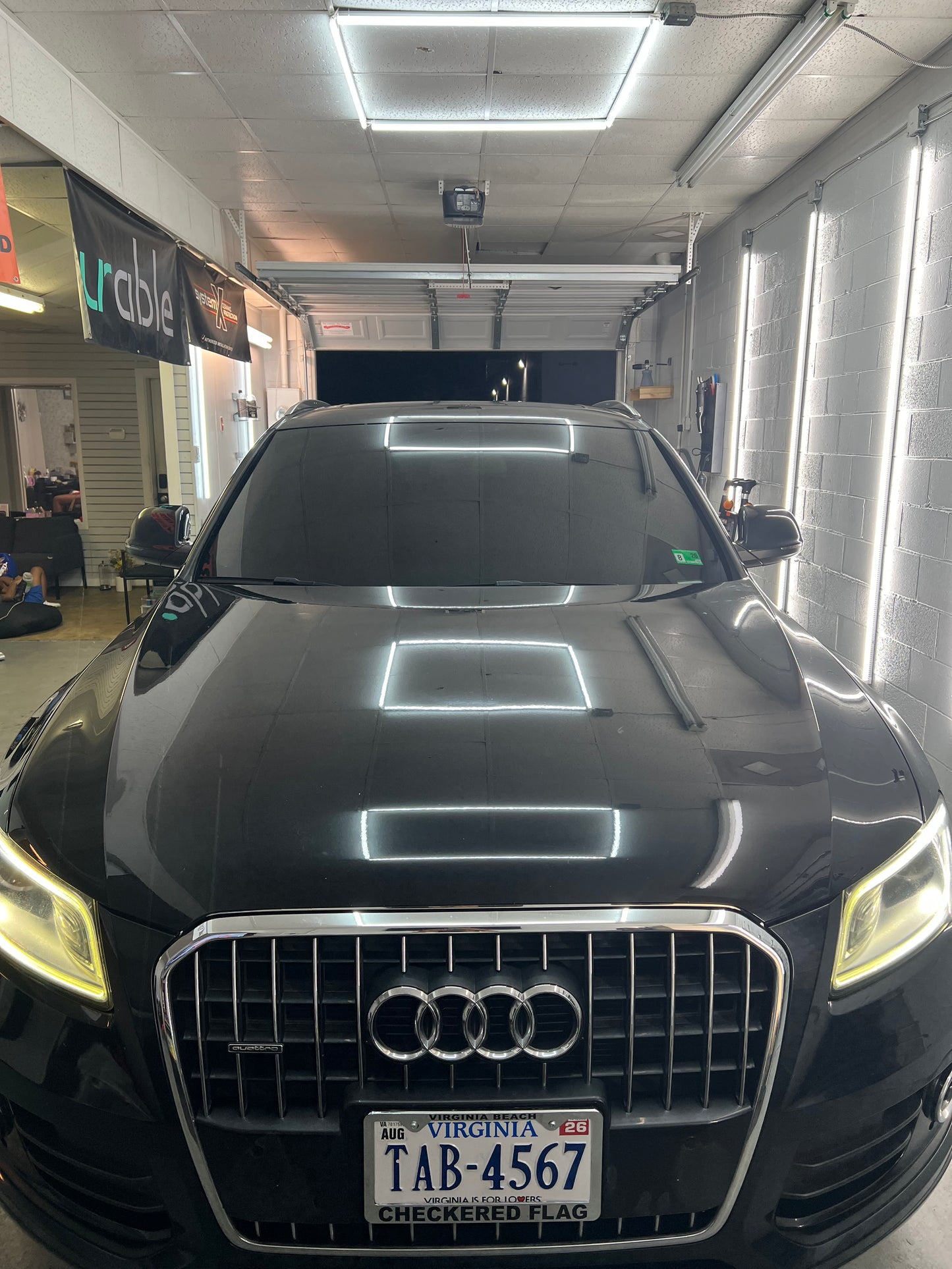 CARBON WINDSHIELD ONLY