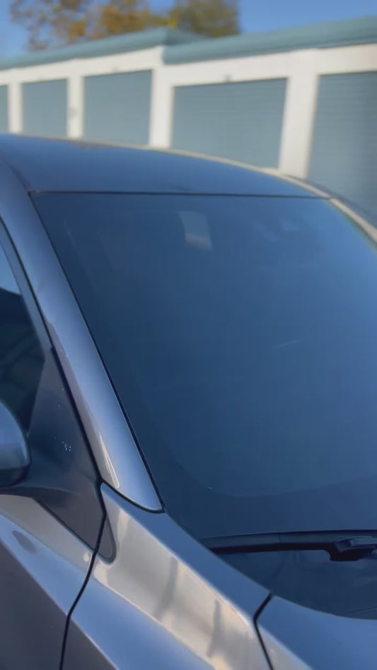 CARBON WINDSHIELD ONLY